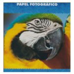 50 Folhas Papel Fotográfico 180g A4 Glossy Masterprint - Imagem 1